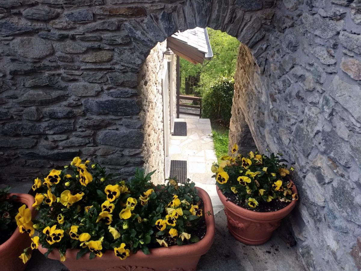 Agriturismo La Fonte Di Mariella Gravedona Exterior foto
